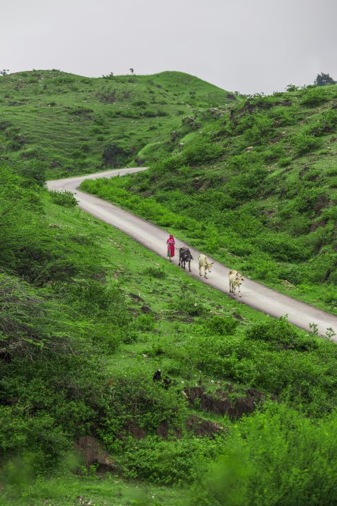 SALALAH DESERT - MOUNTAIN ODYSSEY
