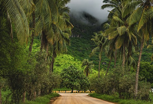SALALAH FRANKINCENSE PATHWAYS