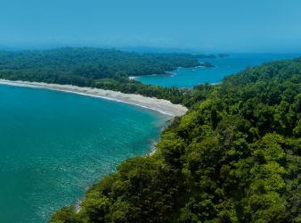 COSTA RICA RAINFOREST & WILDLIFE EXPERIENCE